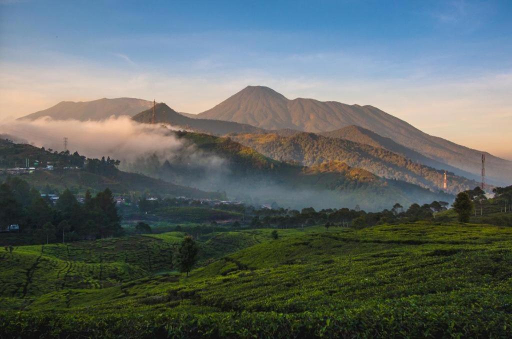 Green Wattana Hotel Sentul Bogor Eksteriør bilde